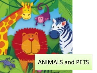 ANIMALS and PETS
 