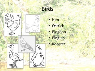 Birds
• Hen
• Ostrich
• Pidgeon
• Pinguin
• Rooster
 