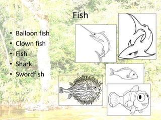 Fish
• Balloon fish
• Clown fish
• Fish
• Shark
• Swordfish
 