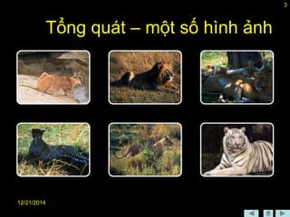 12/21/2014
3
Tổng quát – một số hình ảnh
 