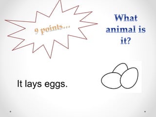 It lays eggs.
 