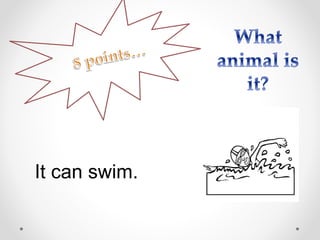 It can swim.
 