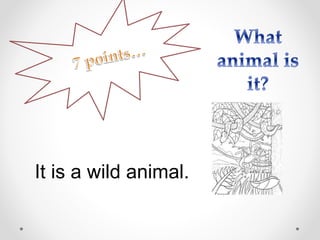 It is a wild animal.
 
