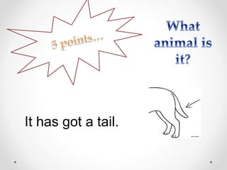 It has got a tail.
 