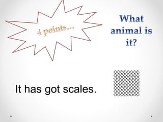 It has got scales.
 