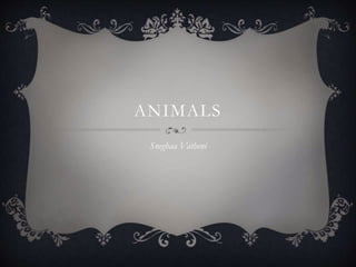 ANIMALS
Sneghaa Vatheni
 
