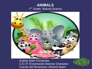 ANIMALS
1ST
Grade. Natural Science
Andrés Soler Fernández
C.E.I.P. Encarnación Asensio Granados
Cuevas del Almanzora. Almería Spain
 