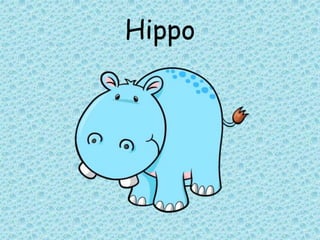 Hippo
 