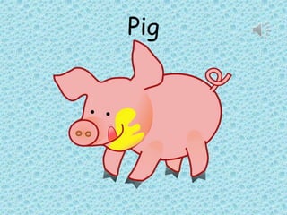 Pig
 