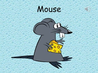 Mouse
 