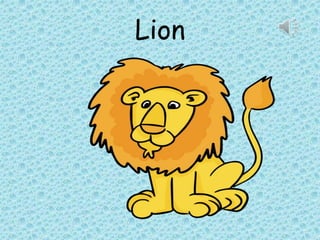Lion
 