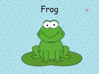 Frog
 