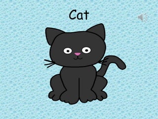 Cat
 