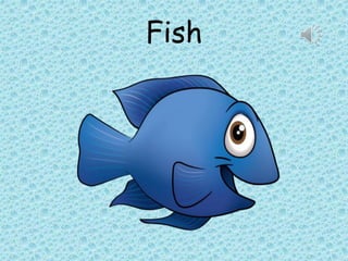 Fish
 
