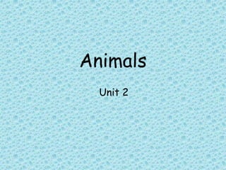 Animals
Unit 2
 