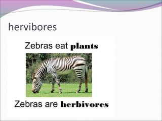 hervibores
 