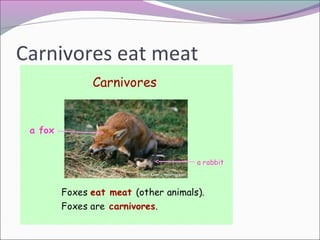 Carnivores eat meat
 