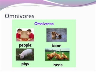 Omnivores
 