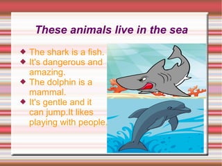 These animals live in the sea
 The shark is a fish.
 It's dangerous and
amazing.
 The dolphin is a
mammal.
 It's gentle and it
can jump.It likes
playing with people.
 