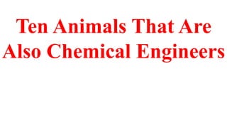 Ten Animals That Are
Also Chemical Engineers
 