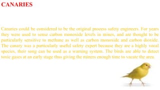 CANARIES
Canaries could be considered to be the original process safety engineers. For years
they were used to sense carbon monoxide levels in mines, and are thought to be
particularly sensitive to methane as well as carbon monoxide and carbon dioxide.
The canary was a particularly useful safety expert because they are a highly vocal
species, their song can be used as a warning system. The birds are able to detect
toxic gases at an early stage thus giving the miners enough time to vacate the area.
 