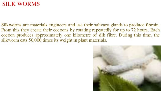 chemistrry of animal hides chemistrry of animal hides