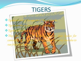Animals | PPTX