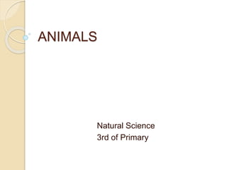 ANIMALS
Natural Science
3rd of Primary
 