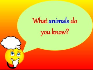 Animals | PPTX