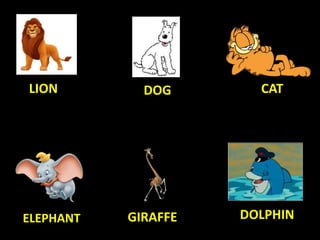 LION DOG CAT
ELEPHANT GIRAFFE DOLPHIN
 