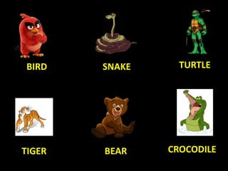 TURTLE
TIGER
SNAKEBIRD
BEAR CROCODILE
 