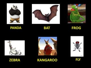 FROGBAT
ZEBRA FLYKANGAROO
PANDA
 