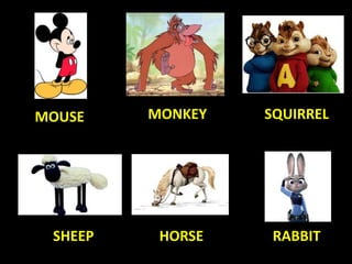 MOUSE MONKEY SQUIRREL
RABBITHORSESHEEP
 
