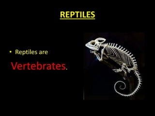 REPTILES
• Reptiles are
Vertebrates.
 