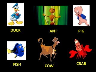 PIGANTDUCK
COWFISH CRAB
 