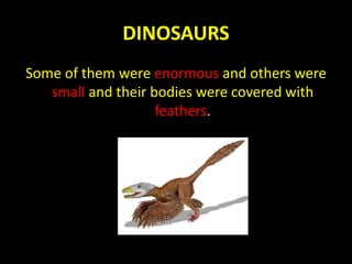 DINOSAURS
Some of them were enormous and others were
small and their bodies were covered with
feathers.
 