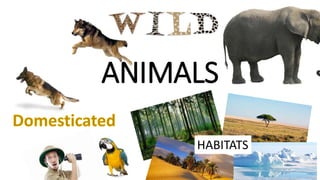 ANIMALS
HABITATS
 