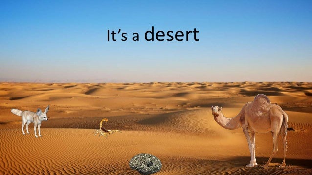 Wild and domestic animals. Habitats. Wild and domestic animals. Habitats.