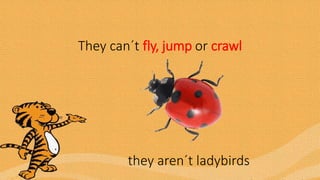 They can´t fly, jump or crawl
they aren´t ladybirds
 
