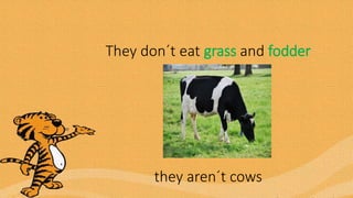 They don´t eat grass and fodder
they aren´t cows
 