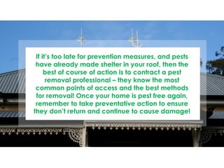 If it’s too late for prevention measures, and pests
have already made shelter in your roof, then the
best of course of action is to contract a pest
removal professional – they know the most
common points of access and the best methods
for removal! Once your home is pest free again,
remember to take preventative action to ensure
they don’t return and continue to cause damage!
 