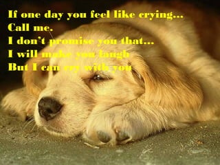 If one day you feel like crying…
Call me.
I don’t promise you that…
I will make you laugh
But I can cry with you
 