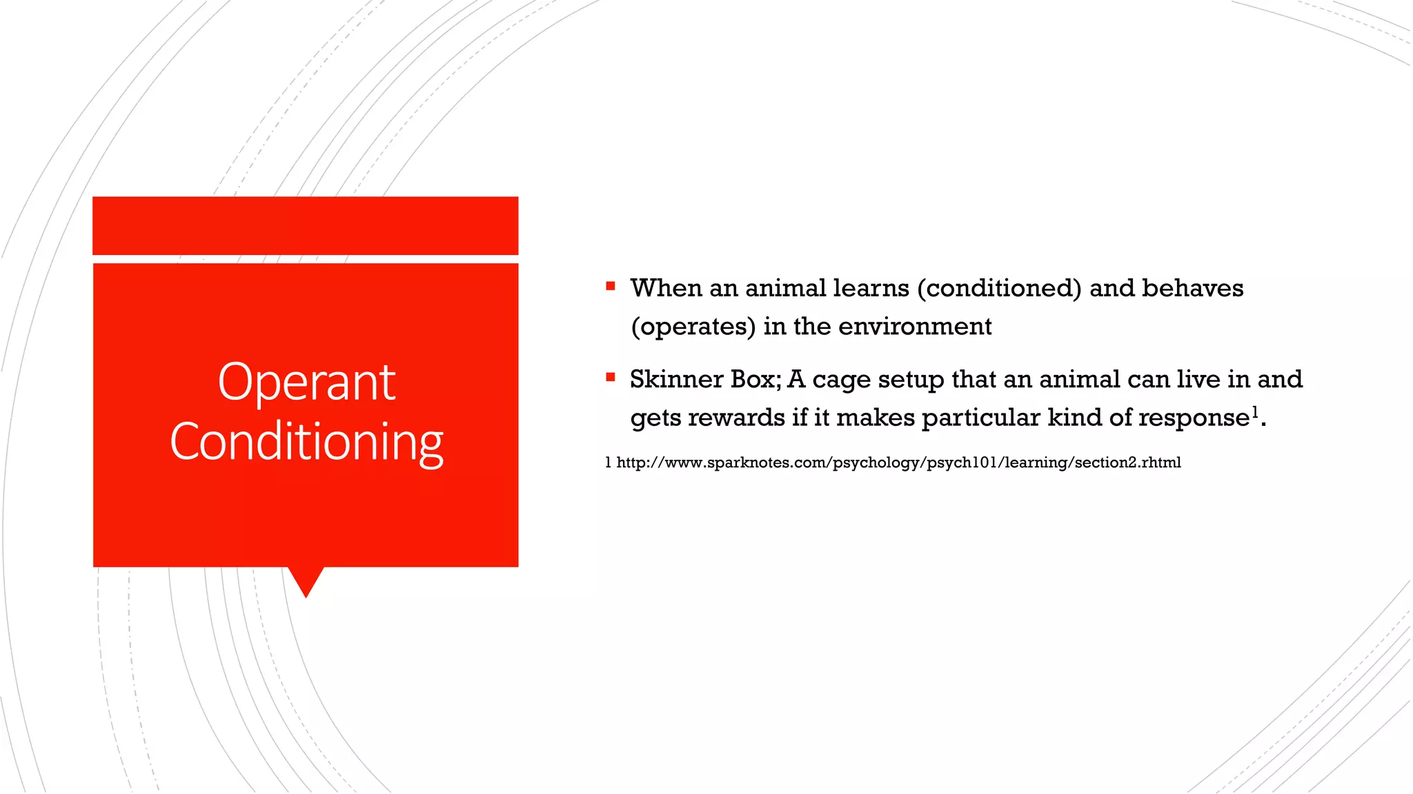 Talking animals ppt
