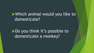 Do you think it’s possible to
domesticate a monkey?
Which animal would you like to
domesticate?
 