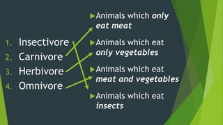 1. Insectivore
2. Carnivore
3. Herbivore
4. Omnivore
Animals which only
eat meat
Animals which eat
only vegetables
Animals which eat
meat and vegetables
Animals which eat
insects
 