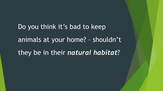 Do you think it’s bad to keep
animals at your home? – shouldn’t
they be in their natural habitat?
 
