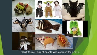 What do you think of people who dress up their pets?
 