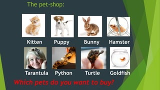 The pet-shop:
Kitten Puppy Bunny Hamster
Tarantula Python Turtle Goldfish
Which pets do you want to buy?
 