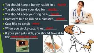  You should keep a bunny-rabbit in a _______
 You should take your dog for ________
 You should keep your dog on a ________
 Hamsters like to run on a hamster-________
 Cats like to catch _______
 When you stroke cats, they________
 If your pet gets sick, you should take it to
the_________________
hutch
walks
leash
wheel
mice
purr
veterinarian (vet)
 