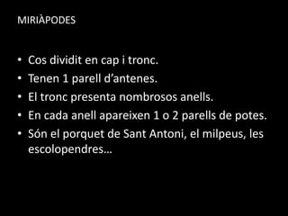 MIRIÀPODES
• Cos dividit en cap i tronc.
• Tenen 1 parell d’antenes.
• El tronc presenta nombrosos anells.
• En cada anell apareixen 1 o 2 parells de potes.
• Són el porquet de Sant Antoni, el milpeus, les
escolopendres…
 